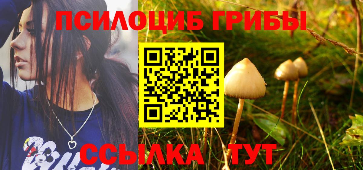 Псилоцибиновые грибы Psilocybine cubensis Донецк