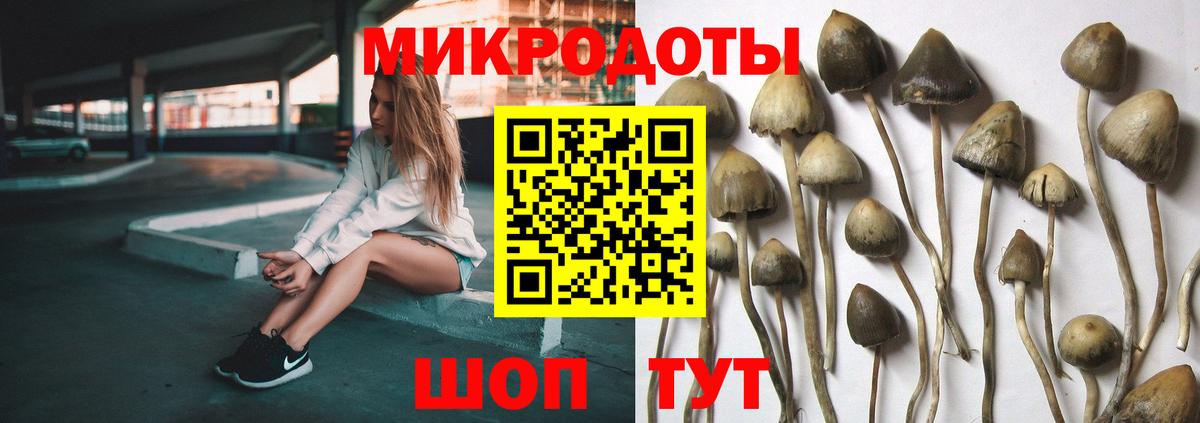 Донецк  Псилоцибиновые грибы Cubensis  Вход с VPN  Псилоцибиновые грибы мухоморы 